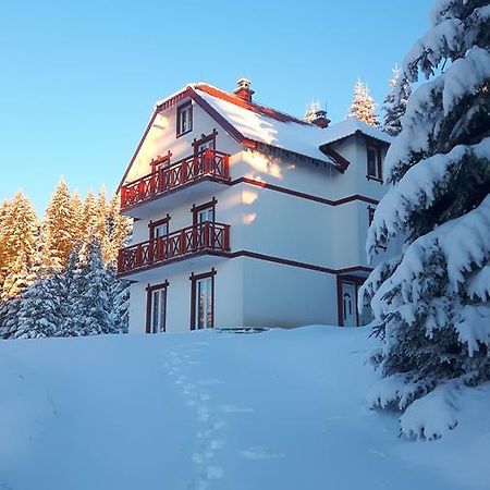 Vila Natasa 科帕奥尼克 外观 照片